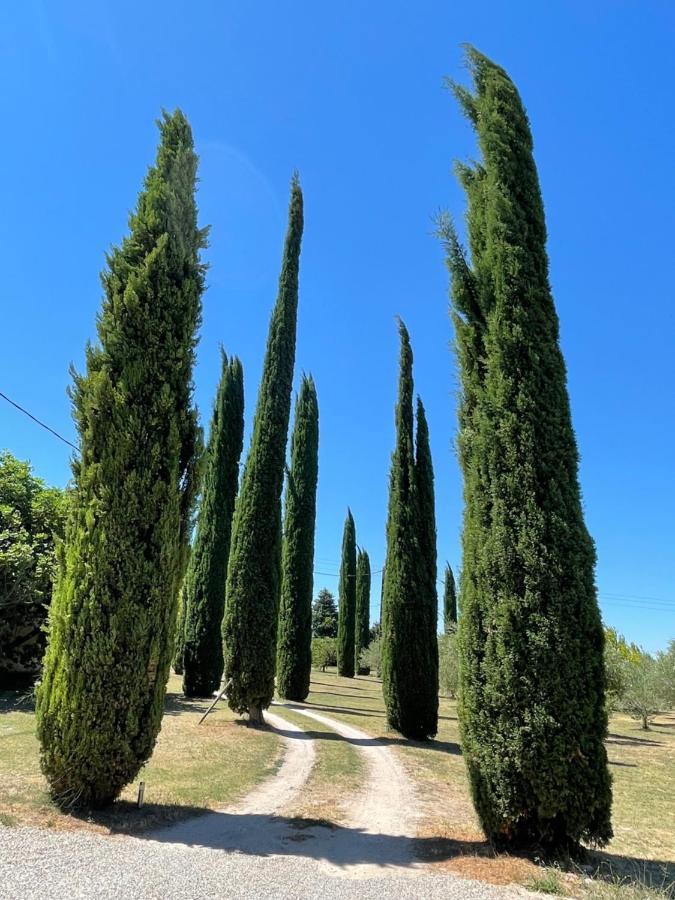 Le Mas Des Perrines Maison D'Hotes Pernes-les-Fontaines Luaran gambar